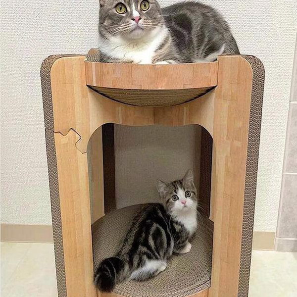 Twin Cat Scratch Tower