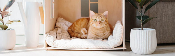 Katzenshop für die glückliche  Katze: nur liebevoll ausgewählte Katzenartikel